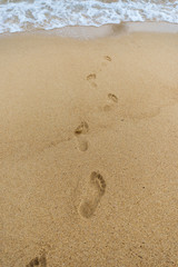 Fototapeta na wymiar Foot prints in sand at beach