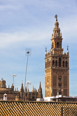 Fototapeta na wymiar Catedral de Sevilla (Catedral de Santa María de la Sede), Spain
