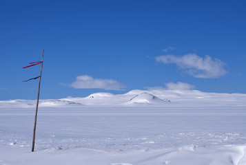 The snowcovered Norwegian mountain plateau Hardangervidda
