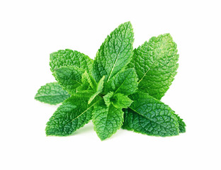 Mint leaves isolated on white background