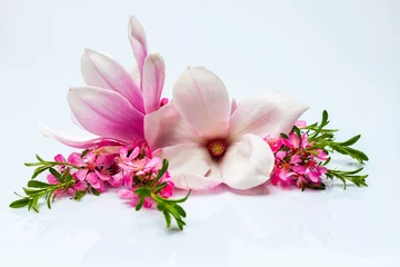 Gordijnen Prachtig bloeiend takje en magnolia © Volodymyr