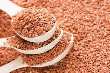 Exclusive variety rice devzira for cooking traditional pilaf