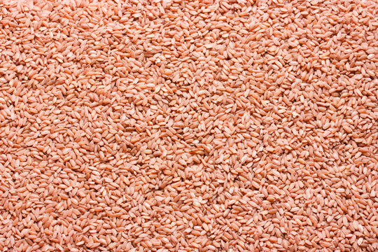 Red rice devzira background