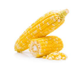 corn isolated on white background