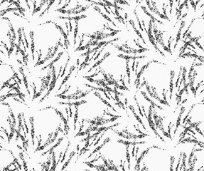 Kelp seaweed texture on white