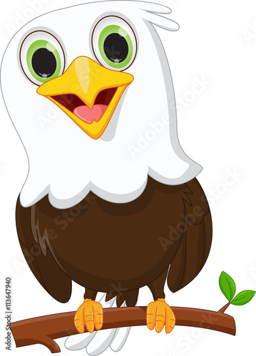 Download "cute little eagle on a tree branch" Stock image and ...