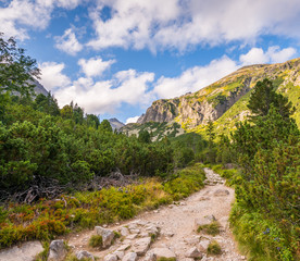 Fototapeta na wymiar Hiking Trail in the Mountains on Sunny Day. Mlynicka Valley, High Tatra, Slovakia.