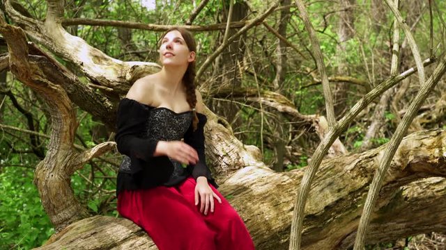 Woman sitting on log in nature wearing renaissance attire.