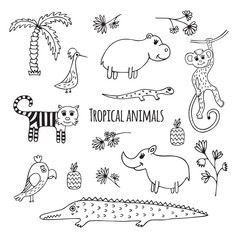 Set of black and white Tropical animals