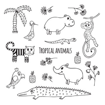 Set of black and white Tropical animals