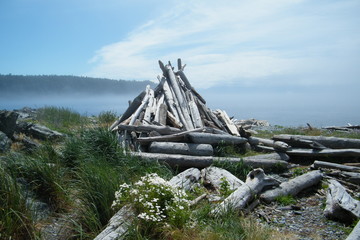 Driftwood Fort on a Beach with Misty Background