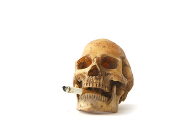 Stock Photo:.Human skull on isolated white background