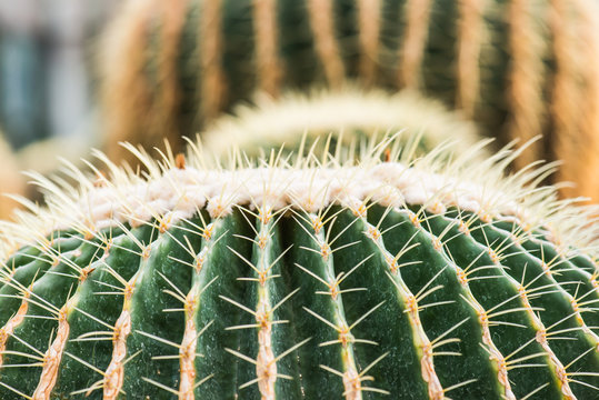 รูปภาพHildm – เลือกดูภาพถ่ายสต็อก เวกเตอร์ และวิดีโอ161 | Adobe Stock