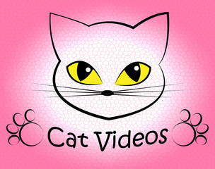 Cat Videos Indicates Audio Visual And Feline