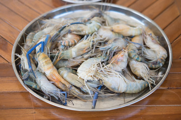 shrimp fresh on disk
