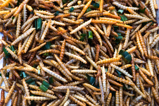 Fried insects made by street vendors Thailand
