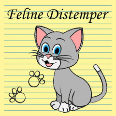 Feline Distemper Represents Domestic Cat And Cats