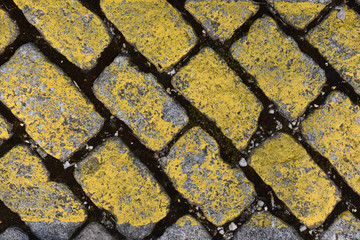 Yellow cobble,