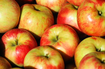 Fototapeta na wymiar close up on honey crispy apples 