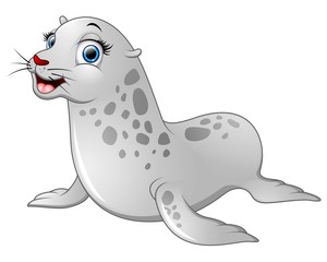 Cute baby seal cartoon

