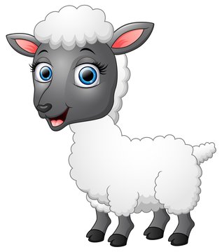 Cartoon funny sheep posing