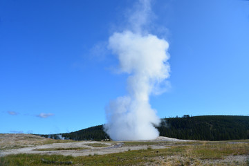 Fototapeta na wymiar Old Faithful geyser