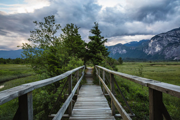 Fototapeta na wymiar Path across the wooden bridge in the nature. Picture taken in Squamish, British Columbia, Canada