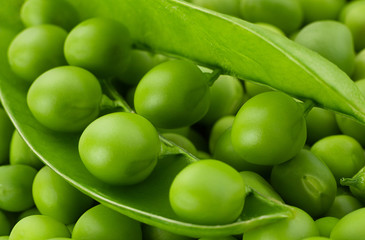 Young grean peas on white