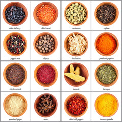 Large collection of different spices and herbs in wooden bowls, isolated on white background