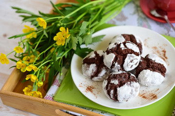 chocolate cakes in powdered sugar
