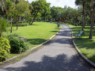Fototapeta na wymiar garden park road benches landscape