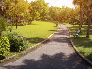 Fototapeta na wymiar garden park road benches landscape