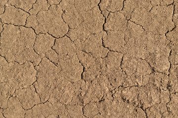 Clay cracked texture.
Equal layer of compacted clay soil with cracks.