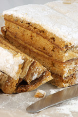 Homemade apple paste (marshmallow) close-up