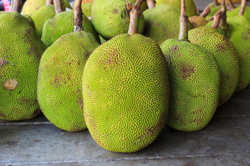 jackfruit at market in Thailand
