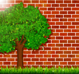 Summer background with green tree, grass and brick wall