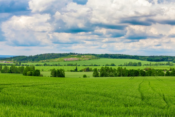 Spring beautiful landscape
