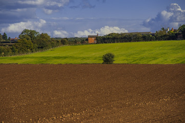 Fototapeta na wymiar field agriculrural landscape UK