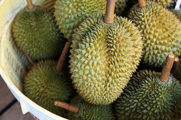 Durian fruit at market in Thailand