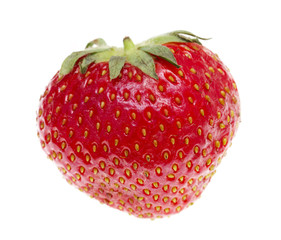 strawberries on white background