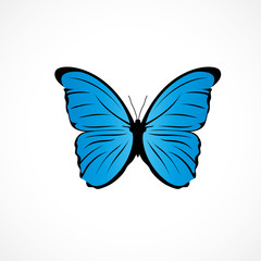 papillon bleu