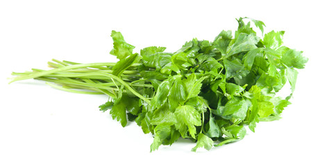 Fototapeta premium Celery on White Background