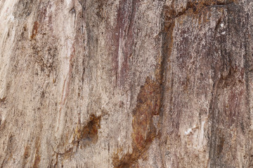 Obraz premium Nature rock texture for background.