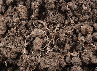 Soil background