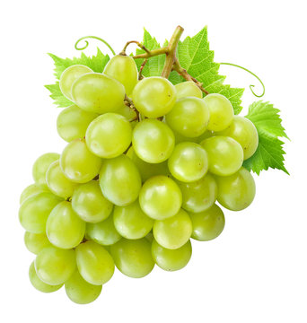 Fresh green grapes with leaves. Isolated on white. Clipping path