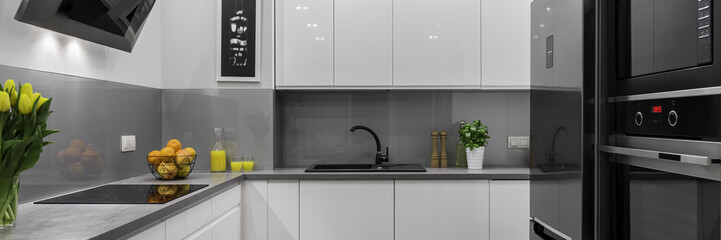 Modern kitchen, panorama
