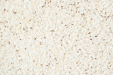 Weevil destroyed rice