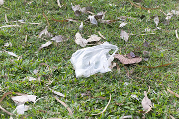 Plastic bag on the ground surrounding by leaves in the park.