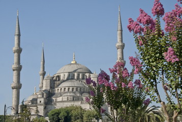 Fototapeta na wymiar Domes and minarets of The Blue Mosque in Istanbul, Turkey.