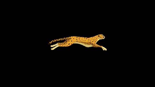 Running Cheetah. Classic Disney Style UHD Animation with Alpha Channel.